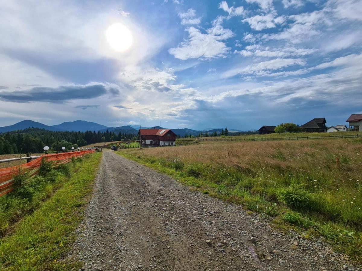 Pensiunea Zana Muntilor Piatra Fantanele Esterno foto